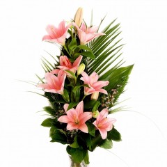 Kytica Profesorka  27,00eur